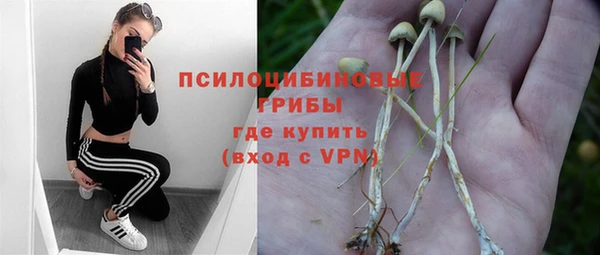 ГАЛЛЮЦИНОГЕННЫЕ ГРИБЫ Балабаново
