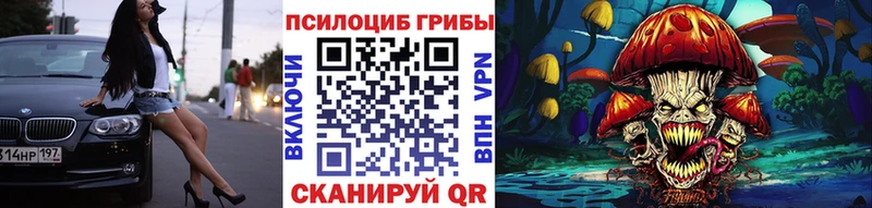 Купить закладки  Ленинск-Кузнецкий  Галлюциногенные грибы мухоморы 